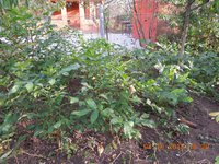 DSCN3856.JPG