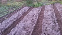 20151004_071419.jpg
