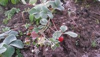 20151004_071442.jpg