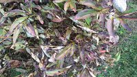 20150918_172547.jpg