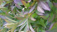 20150918_172623.jpg