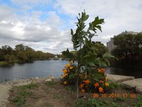 DSCN3872.JPG