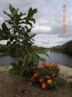 DSCN3885.JPG