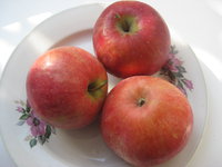 Алант