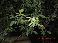 DSCN3888.JPG