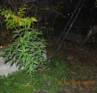 DSCN3890.JPG