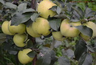 k114_1.jpg