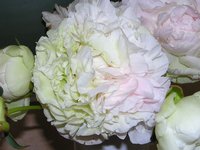 image29.jpg