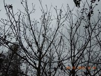 DSCN3960.JPG