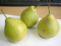STA44776.JPG
