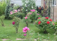 IMG_6200 - копия.JPG