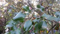 20151006_133835.jpg
