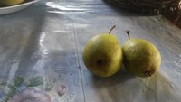 20151005_154852.jpg