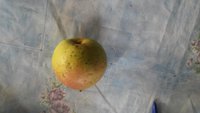 20151005_154907.jpg