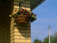 IMG_20150807_151152-1-1.jpg