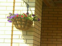 IMG_20150807_151147-1-1-1.jpg
