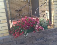 IMG_20150828_171442-1.jpg