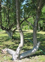 IMG_9183.jpg
