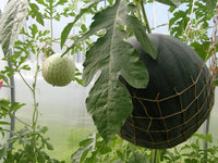 2 (2)small.jpg