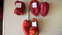 Эти покупались в августе. Толстостенные и очень вкусные