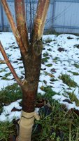 2015-12-05 15.27.58.jpg