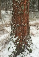 IMG_3505.jpg