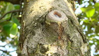 DSC03275.jpg