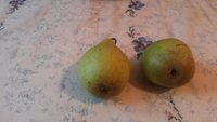 20151220_115442.jpg
