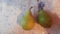 20151220_115451.jpg
