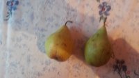 20151220_115525.jpg