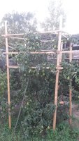 20150927_161850.jpg