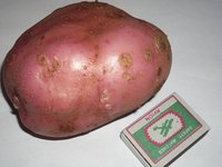 кураж1.JPG