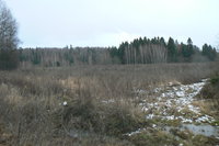 P1240723.JPG