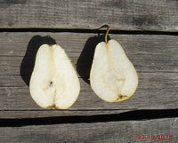 DSC03059o.jpg
