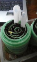20160116_130029.jpg