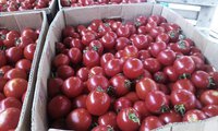 imag08571.jpg