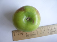 STA42353.JPG