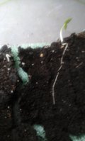 20160128_121501.jpg