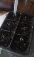 20160128_122019.jpg