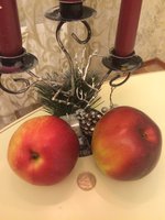 IMG_3556.JPG