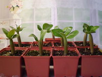 P1010020.JPG