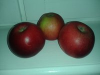 20160131_213923.jpg
