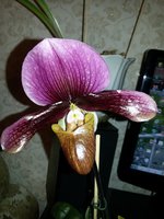 20151224_170620.jpg