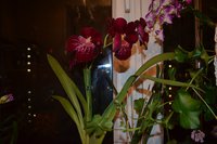 DSC_0007.JPG