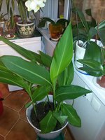 20160204_014044.jpg