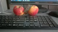 WP_20160204_001.jpg