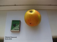 IMG_4895.JPG