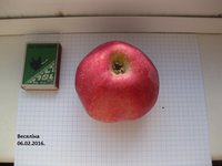 IMG_4897.JPG