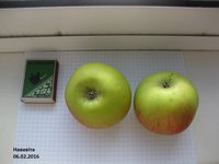 IMG_4898.JPG