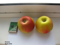 IMG_4900.JPG